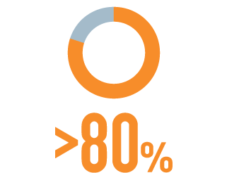 Pie Chart Representing >80% of Patients Taking 2 or More Concomitant ASMs