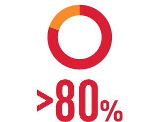 Pie Chart Representing >80% of Patients Taking 2 or More Concomitant ASMs