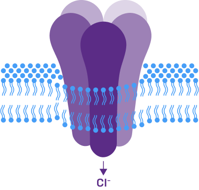 GABAA receptor